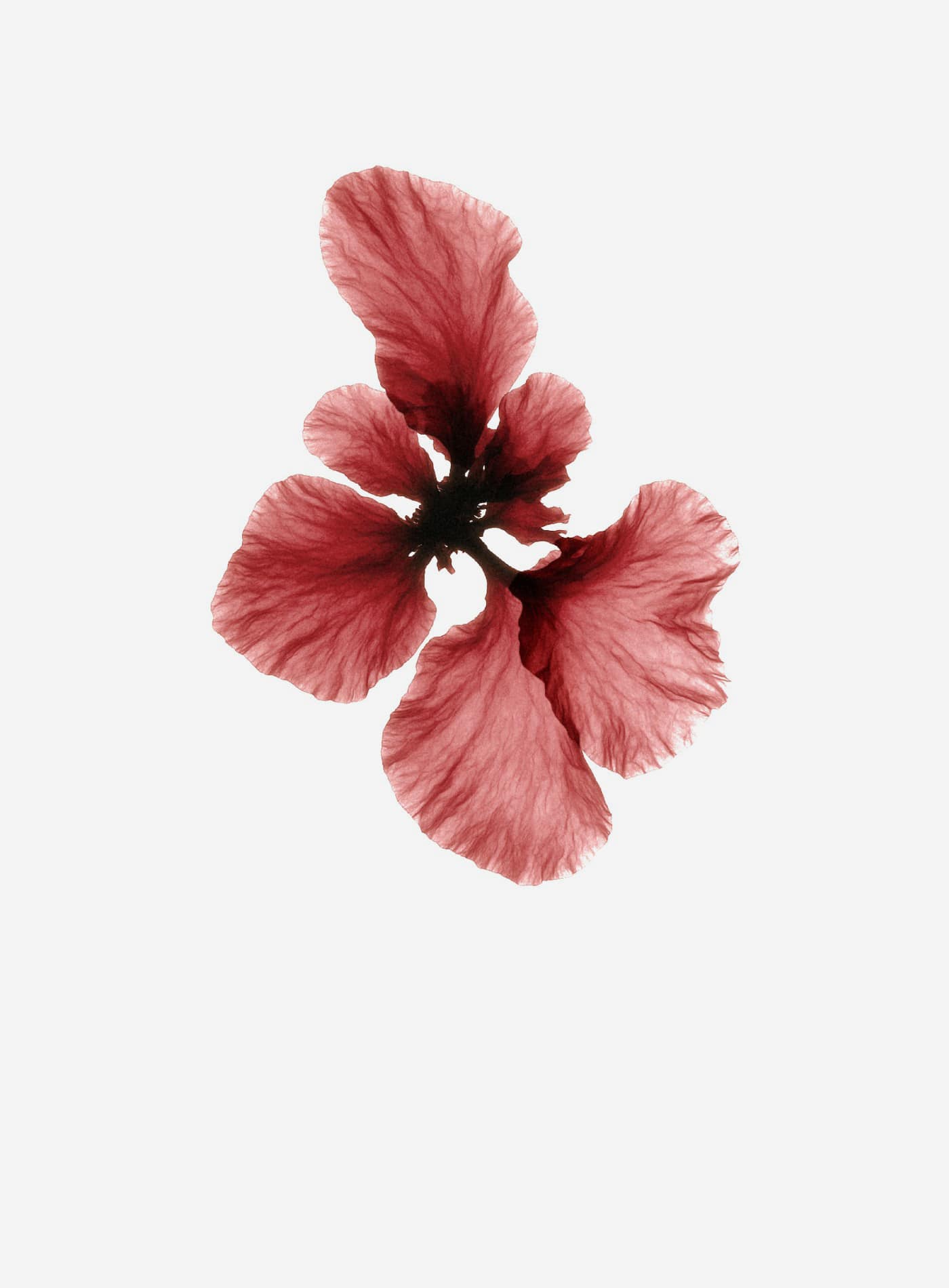 With U | Soft shell conditioner 100ml