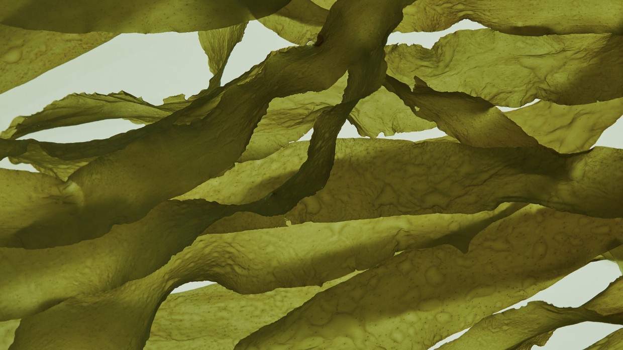 With U | For every hair story